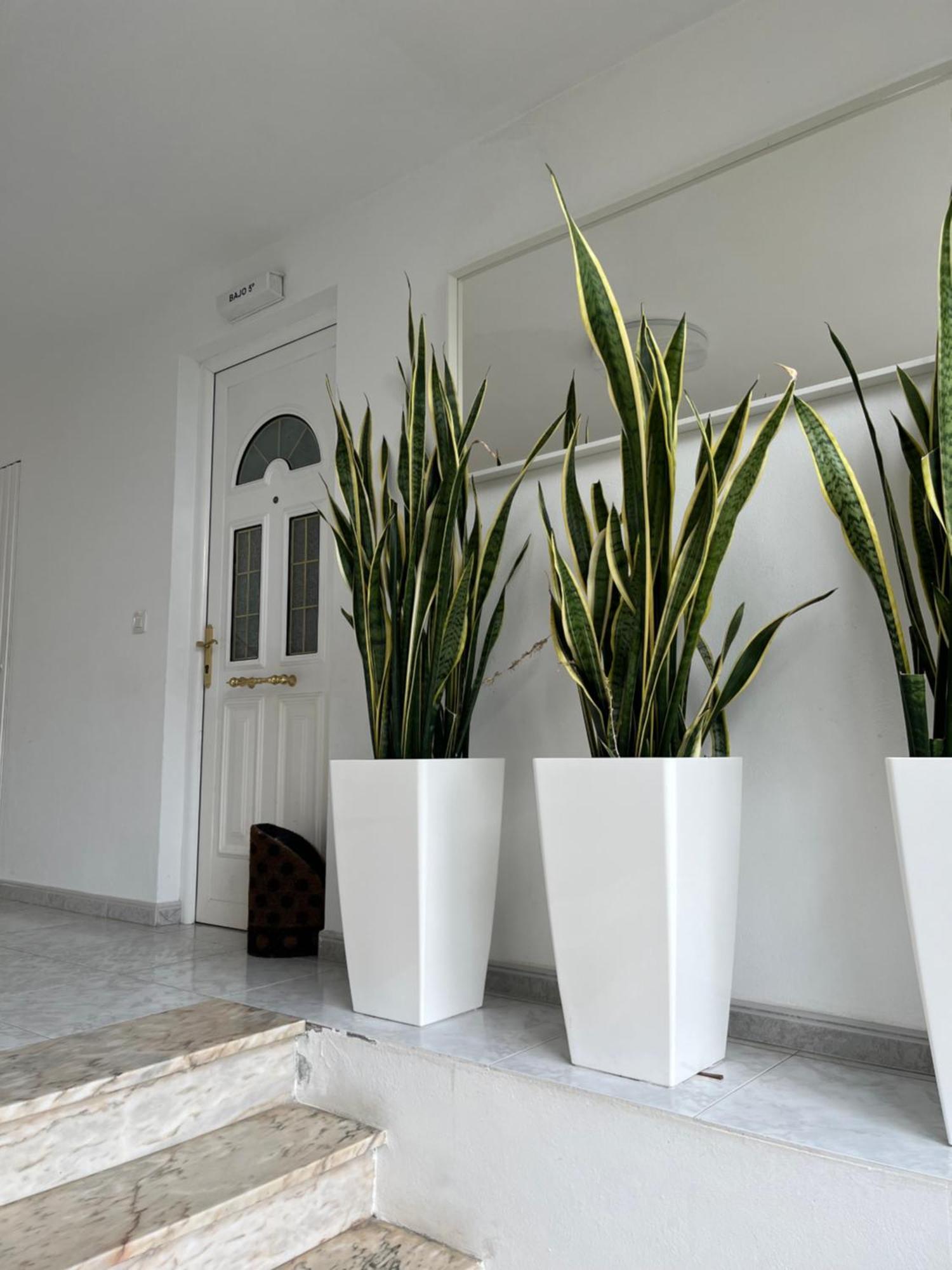 Apartamento En Sardineiro, Finisterre B5 Eksteriør billede